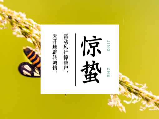 驚蟄到了，青島美泰塑膠為您簡單介紹這一節氣